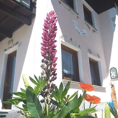 Baita Stella Alpina ลีวินโญ ภายนอก รูปภาพ